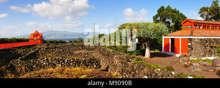 Il Museu do Vinho (Museo del Vino), Madalena, Pico. Isole Azzorre, Portogallo Foto Stock