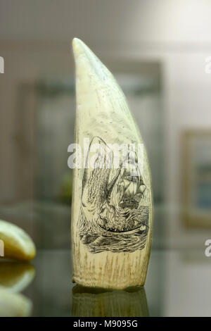 Scrimshaw (capodoglio dente) incisione di Machado Oliveira. Il Museu dos (Baleeiros Whalers museo), Lages do Pico, Pico. Isole Azzorre, Portogallo Foto Stock