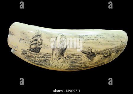 Scrimshaw (capodoglio dente) incisione di Machado Oliveira. Il Museu dos (Baleeiros Whalers museo), Lages do Pico, Pico. Isole Azzorre, Portogallo Foto Stock