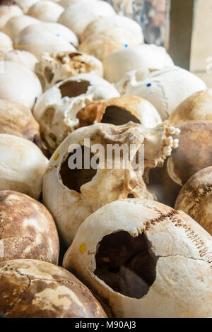 Alcuni dei teschi 9000, mostrando le lesioni causate da lesioni smussato trauma, impilate all'interno della Stupa memoriale per le vittime. Choeung Ek Killing Fields genocidio centro, Phnom Penh, Cambogia, sito in cui decine di migliaia di persone in Cambogia sono stati uccisi dalla Khymer Rouge sotto gli ordini di Pol Pot da 1975-1979. Foto Stock