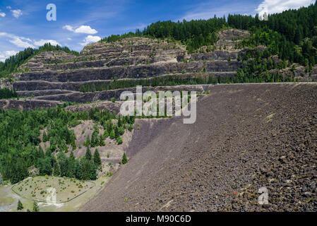 Cougar Creek Dam forme Cougar serbatoio in Lane County, Oregon Foto Stock