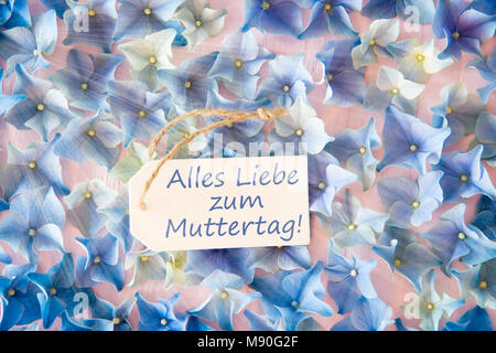 Etichetta con testo tedesco Alles Liebe Zum Muttertag significa felice festa della mamma. Soleggiato appartamento di laici Hydrangea Blossoms. Foto Stock