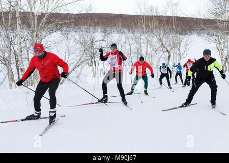 Penisola di Kamchatka: gli sciatori in esecuzione sulla pista di sci cross-country foresta d'inverno. Massa All-Russia gara di sci - pista di sci della Russia. Foto Stock