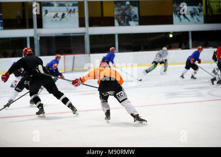 Hockey su ghiaccio. Squadra di hockey. Foto Stock