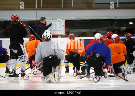 Hockey su ghiaccio. Squadra di hockey. Foto Stock