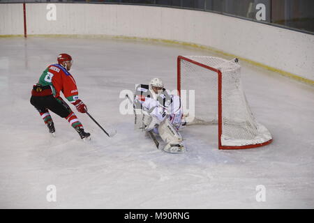 Hockey su ghiaccio corrispondono. Squadra di hockey. Obiettivo. Foto Stock