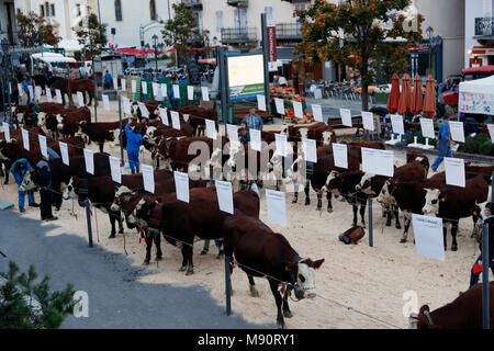 La fiera agricola (Comice Agricole) di Saint-Gervais-les-Bains. Foto Stock