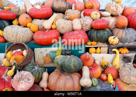 Zucche per la vendita nel mercato Foto Stock