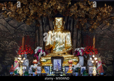 Minh Dang Quang tempio buddista. Golden Buddha con fiore di loto. Statua. Ho Chi Minh city. Il Vietnam. Foto Stock