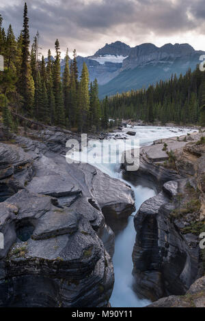 Mistaya Canyon off Icefields Parkway nelle Montagne Rocciose Canadesi, Alberta, Canada. In autunno (settembre) 2017. Foto Stock