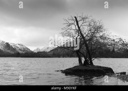 Un albero su una piccola isola a Ullswater, Lake District, Cumbria. Coperta di neve fells e colline sono in background e il cielo è nuvoloso. Foto Stock