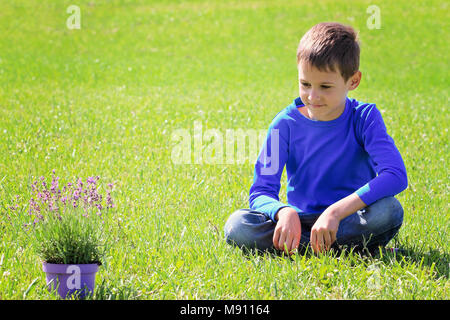 Ragazzo con lavanda pot mentre è seduto sull'erba verde Foto Stock