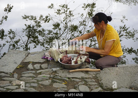 Cinese tradizionale villaggio e patrimonio mondiale Unesco hongcun nella provincia di Anhui, Cina Foto Stock