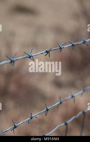 Barb wire, chiudere il fuoco selettivo. Foto Stock