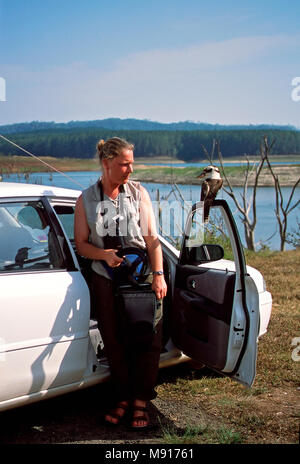 Vogelaar oog in oog incontrato Kookaburra op auto Queensland Australie, Birder e ridere Kookaburra sulla vettura la visione di ogni altro Queensland Australia Foto Stock