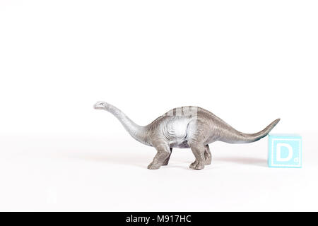 Sauropod camminando sul fondo bianco con blocco di word. Foto Stock