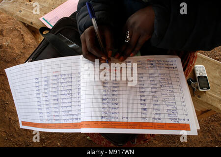 UBTEC microfinanza ONG riuniti in un villaggio nei pressi di Ouahigouya, in Burkina Faso. Foto Stock