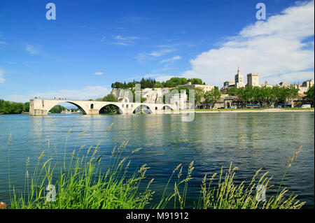 Fiume Rodano Pont St Benezet Avignon Vaucluse Provenza-Alpi-Costa azzurra Francia Foto Stock