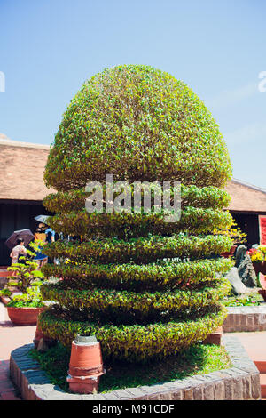 Bonsai Penjing e paesaggio in miniatura con albero sempreverde in un vassoio Vietnam asia Foto Stock