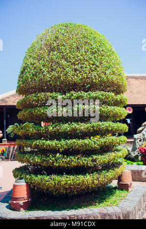 Bonsai Penjing e paesaggio in miniatura con albero sempreverde in un vassoio Vietnam asia Foto Stock