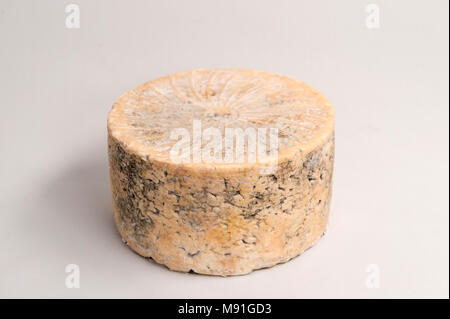 Formaggio blu scozzese Lanark Blue Foto Stock