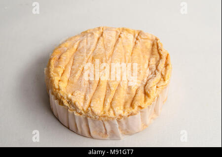 Epoisses de Bourgogne è un formaggio francese Foto Stock