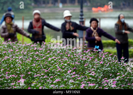 Le donne fanno tai chi al mattino sulle rive del Lago Hoan Kiem Hanoi. Il Vietnam. Foto Stock