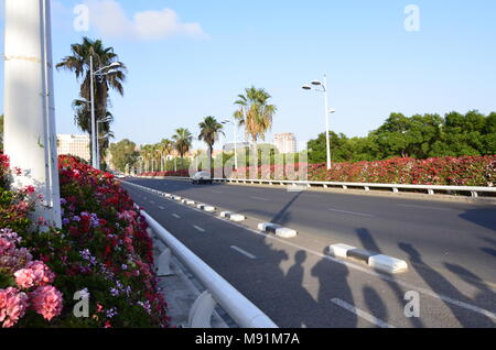 Pont de les Flors è uno dei ponti che attraversa il Jardin del Turia della città di Valencia. Esso ha la peculiarità di essere sempre adornati. Foto Stock