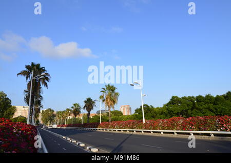 Pont de les Flors è uno dei ponti che attraversa il Jardin del Turia della città di Valencia. Esso ha la peculiarità di essere sempre adornati. Foto Stock