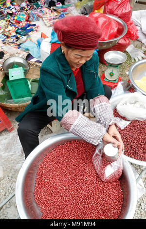 Arachidi per la vendita al mercato. Van Quan. Il Vietnam. Foto Stock