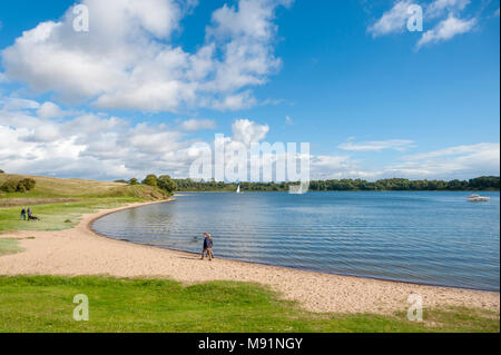 Paesaggio con la Stuelper Huk presso la riva Dummersdorfer, Mar Baltico, Dummersdorf, Schleswig-Holstein, Germania, Europa Foto Stock