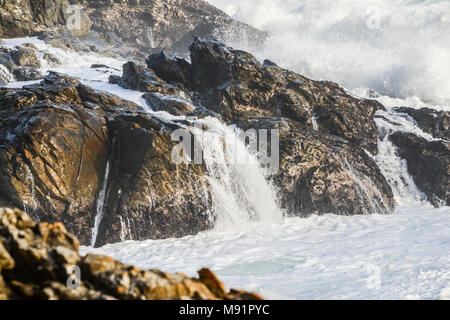 Il sudafricano costa lungo l'inizio della lontra Trail nel Tsitsikamma National Park, Sud Africa Foto Stock