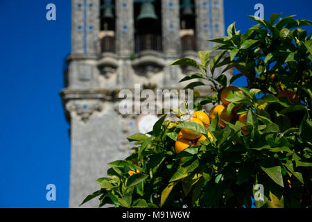 Arancio con la Chiesa di Santa Maria in background. Arcos de la Frontera, Spagna Foto Stock