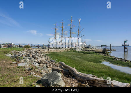 Driftwood, mare erba e Kaiwo Maru in background presso il molo di Steveston, fiume Fraser, BC Foto Stock