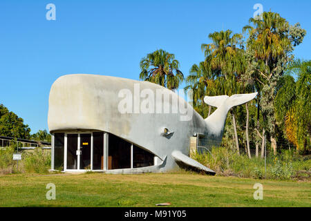 Spiaggia Kinka, Queensland, Australia - 27 dicembre 2017. Grande edificio di balena, progettato da Kevin Logan e alloggiamento strutture private in spiaggia Kinka, Q Foto Stock