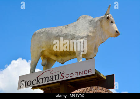 Rockhampton, Queensland, Australia - 28 dicembre 2017. Statua del Grande toro bianco sul tetto di un edificio commerciale su Gladstone Road in Rockhampton, QL Foto Stock