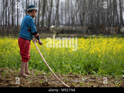 Srinagar, Indiano-controllato del Kashmir. Xxi Mar, 2018. Un ragazzo del Kashmir acque un campo di senape in Panzan villaggio a circa 25 km a sud-ovest di Srinagar, la capitale estiva di Indiano-Kashmir controllata, Marzo 21, 2018. Credito: Javed Dar/Xinhua/Alamy Live News Foto Stock