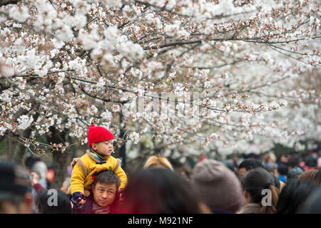 Nanjing, cinese della provincia di Jiangsu. Xxi Mar, 2018. Le persone godono della vista di fiori di ciliegio a Jimingsi strada in Nanjing, a est della capitale cinese della provincia di Jiangsu, Marzo 21, 2018. Credito: Li Bo/Xinhua/Alamy Live News Foto Stock