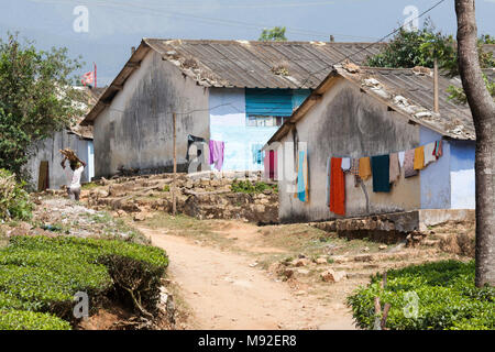 La piantagione di tè case operaie sul Periakanal tenuta vicino a Munnar Kerala, India. Foto Stock