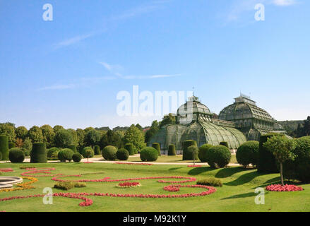 Palm Pavilion e prato fiorito nel parco di Schonbrunn, Vienna Austria Foto Stock