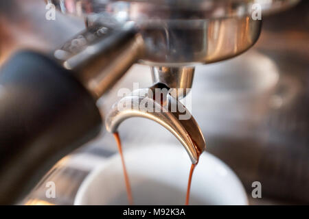 Espresso fresco dal gocciolamento portafilter di macchina per caffè in tazza bianca Foto Stock