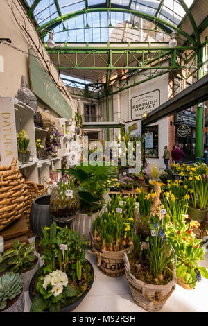 Un fiore bancarella vendendo appena tagliato fiori di primavera a Borough Market nel centro di Londra. Freschi e di stagione primavera narcisi e primule in vendita. Foto Stock