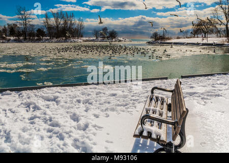 Inverno Lago di scena con lago ghiacciato con i gabbiani arroccato e volare su un luminoso giorno di sole Foto Stock