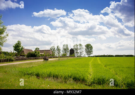 Museo del Villaggio Mazovian in Sierpc. Un villaggio ricostruzione in stile nella campagna polacca con farm house, un vecchio mulino e il blu cielo molto nuvoloso Foto Stock