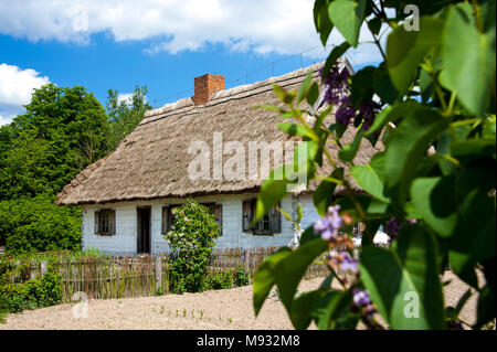 Museo del Villaggio Mazovian in Sierpc. Un villaggio ricostruzione in stile nella campagna polacca con un tetto di paglia cottage, giardini e cielo blu Foto Stock