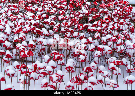 Dettaglio della coperta di neve papaveri in ceramica che formano parte della finestra piangendo a Hereford Cathedral Regno Unito Foto Stock