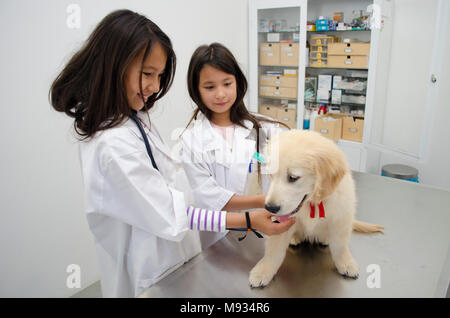 Due graziose bambine fingendo di essere veterinari a trattare un cucciolo golden retriever. Foto Stock