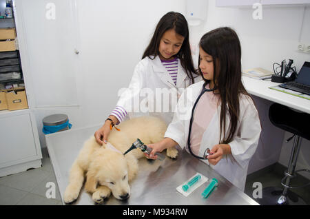 Due graziose bambine fingendo di essere veterinari a trattare un cucciolo golden retriever. Foto Stock