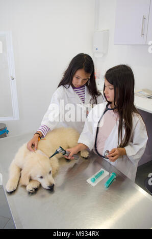 Due graziose bambine fingendo di essere veterinari a trattare un cucciolo golden retriever. Foto Stock