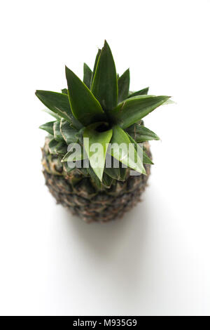 Di ananas maturo frutto isolato su sfondo bianco da un elevato angolo di visione Foto Stock